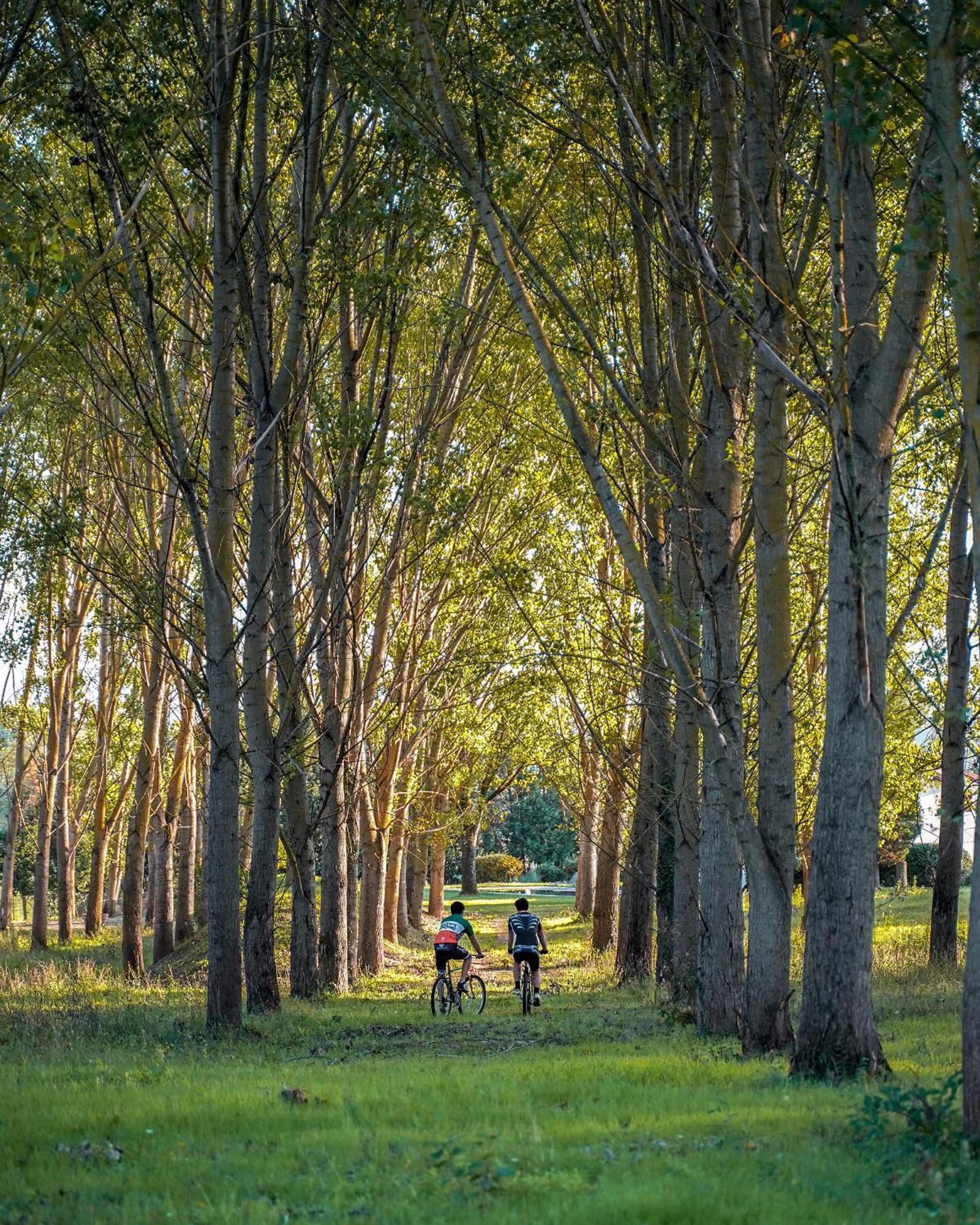 Viesca Suites & Villas Il Borro Toscana Reggello Zewnętrze zdjęcie